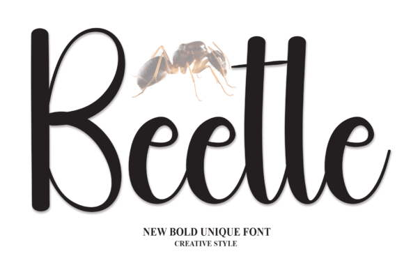 Beetle Font: Adding Friendly Handwritten Charm to Campaigns