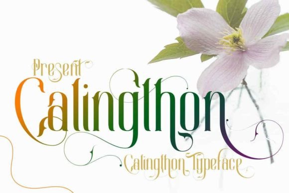 Calingthon Font: Elegant Display Typography for Digital Campaigns