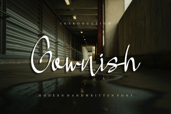 Gownish: A Designer’s Take on Elegant Script